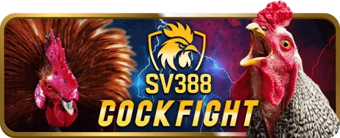 Hoàn trả cược thể thao hàng tuần tại tap88 nhà cái